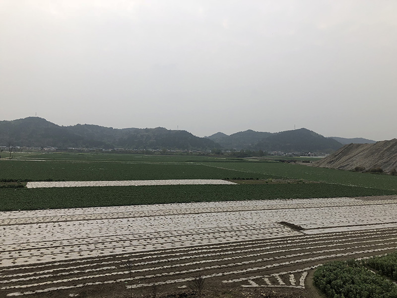 市、縣領導現場調研天馬50萬噸玻瓶項目(圖7)