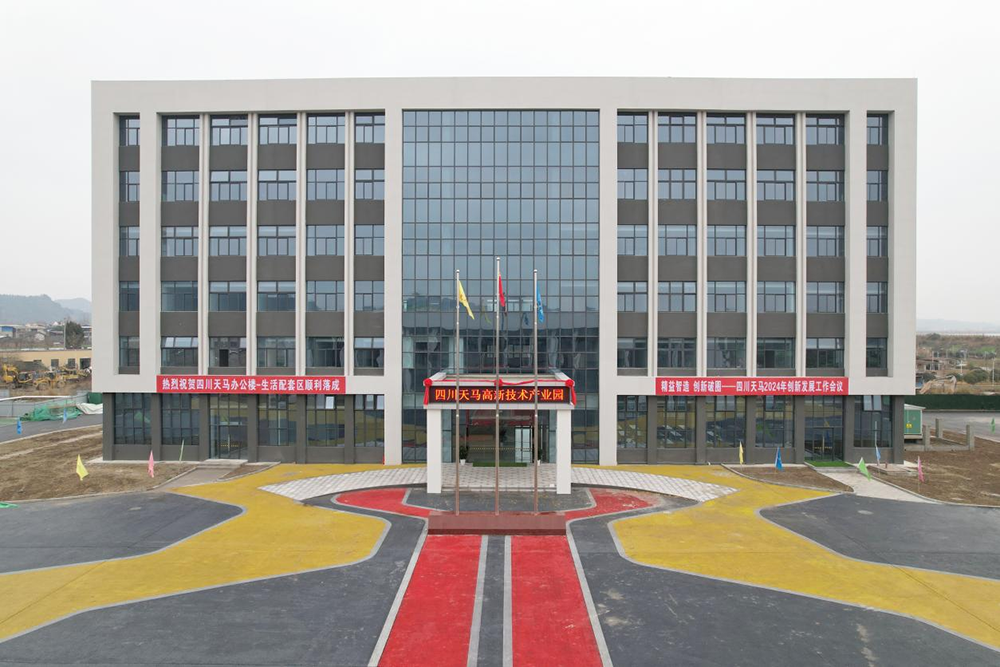 精益智造，創(chuàng)新破圈 | 四川天馬2024年創(chuàng)新發(fā)展工作會(huì)議成功召開(kāi)(圖16)